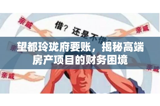 望都玲珑府要账，揭秘高端房产项目的财务困境