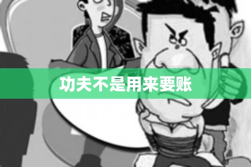 功夫不是用来要账