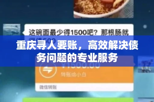 重庆寻人要账,高效解决债务问题的专业服务 重庆寻人要账,高效解决债务问题的专业服务