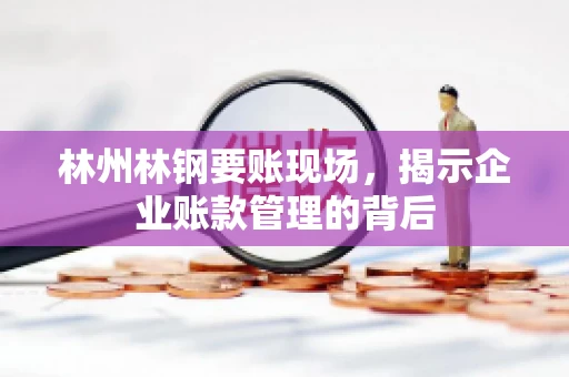 林州林钢要账现场，揭示企业账款管理的背后