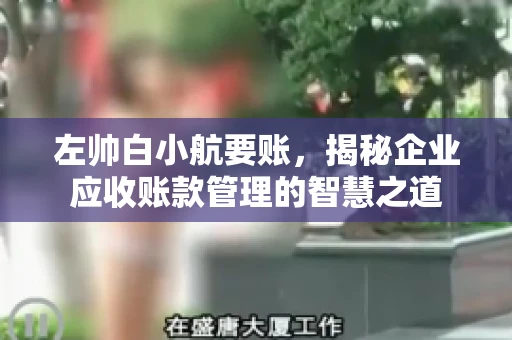 左帅白小航要账,揭秘企业应收账款管理的智慧之道 左帅白小航要账,揭秘企业应收账款管理的智慧之道