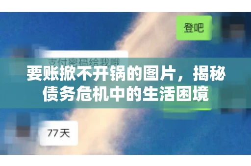 要账掀不开锅的图片，揭秘债务危机中的生活困境