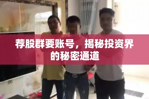 荐股群要账号，揭秘投资界的秘密通道