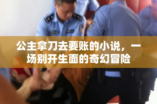 公主拿刀去要账的小说，一场别开生面的奇幻冒险