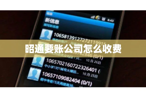 昭通要账公司怎么收费