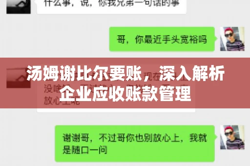 汤姆谢比尔要账，深入解析企业应收账款管理