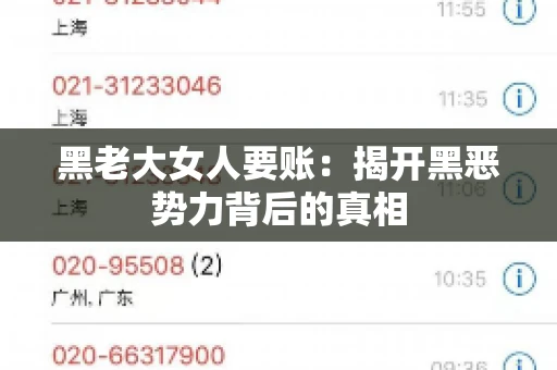 黑老大女人要账：揭开黑恶势力背后的真相