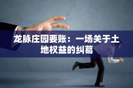 龙脉庄园要账:一场关于土地权益的纠葛 龙脉庄园要账:一场关于土地权益的纠葛