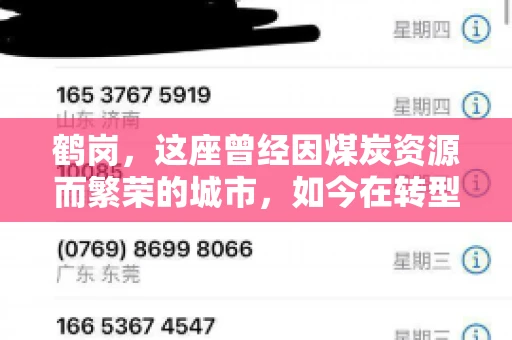鹤岗，这座曾经因煤炭资源而繁荣的城市，如今在转型中寻求新的发展路径。在这座城市中，有一家名为“鹤岗要账公司”的企业，它以专业的服务，在众多企业中脱颖而出。今天，就让我们一起来了解一下这家公司，看看它是如何在这个充满挑战的市场中立足的。