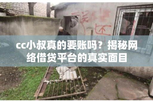 cc小叔真的要账吗？揭秘网络借贷平台的真实面目