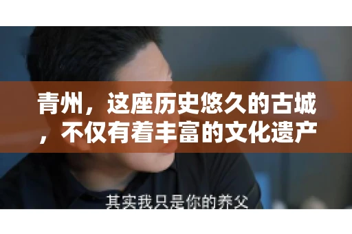 青州，这座历史悠久的古城，不仅有着丰富的文化遗产，还有着繁忙的经济活动。在商业往来中，难免会遇到一些欠款问题，这时候，找一家专业的要账公司就显得尤为重要。那么，青州有帮人要账的吗？答案是肯定的。下面，我就来为大家详细介绍一下青州地区的要账服务。