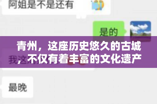 青州，这座历史悠久的古城，不仅有着丰富的文化遗产，也是商业活动频繁的地方。对于许多企业来说，应收账款的管理是日常运营中不可或缺的一环。那么，青州那里有要账的公司呢？今天，我们就来聊聊这个话题。