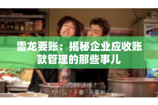 雷龙要账:揭秘企业应收账款管理的那些事儿 雷龙要账:揭秘企业应收账款管理的那些事儿