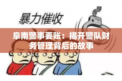 阜南警事要账：揭开警队财务管理背后的故事