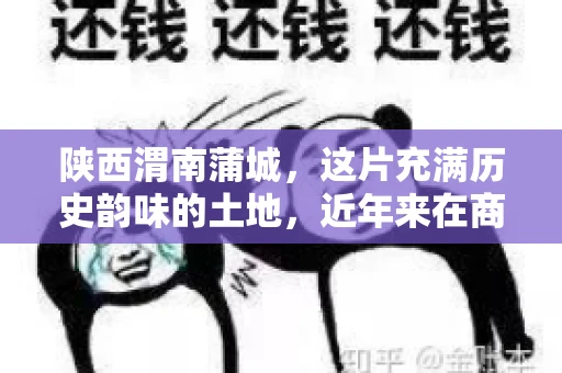 陕西渭南蒲城，这片充满历史韵味的土地，近年来在商业活动中也展现出了其独特的活力。其中，关于“陕西渭南蒲城要账”的话题，成为了不少企业关注的焦点。今天，我们就来聊聊这个话题，看看在蒲城，要账的那些事儿。