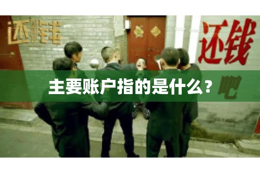 主要账户指的是什么？