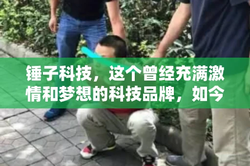 锤子科技，这个曾经充满激情和梦想的科技品牌，如今却陷入了要账的困境。今天，我们就来聊聊锤子科技要账的那些事儿。