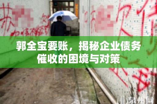 郭全宝要账，揭秘企业债务催收的困境与对策
