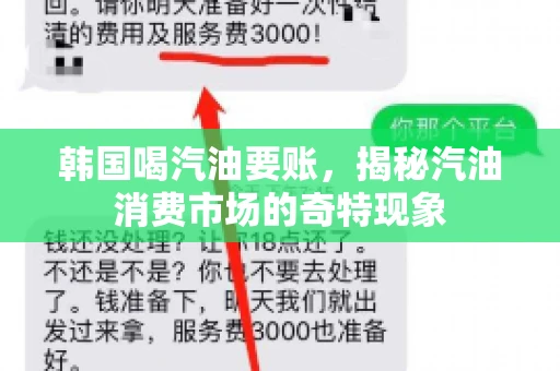 韩国喝汽油要账，揭秘汽油消费市场的奇特现象