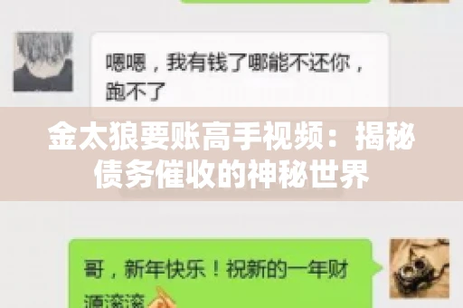 金太狼要账高手视频：揭秘债务催收的神秘世界