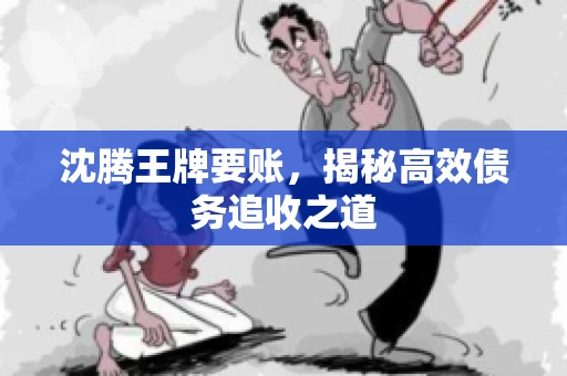 沈腾王牌要账，揭秘高效债务追收之道