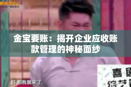 金宝要账：揭开企业应收账款管理的神秘面纱