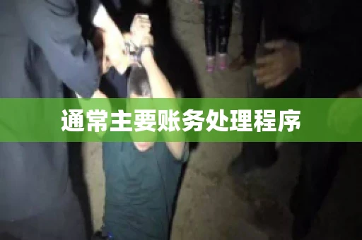 通常主要账务处理程序