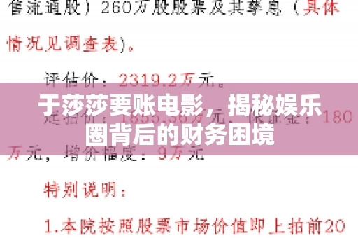 于莎莎要账电影，揭秘娱乐圈背后的财务困境