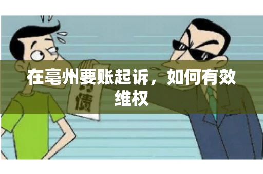 在亳州要账起诉，如何有效维权