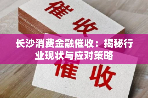 长沙消费金融催收：揭秘行业现状与应对策略