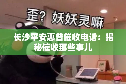 长沙平安惠普催收电话：揭秘催收那些事儿