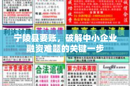 宁陵县要账，破解中小企业融资难题的关键一步