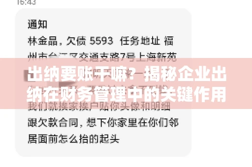 出纳要账干嘛？揭秘企业出纳在财务管理中的关键作用