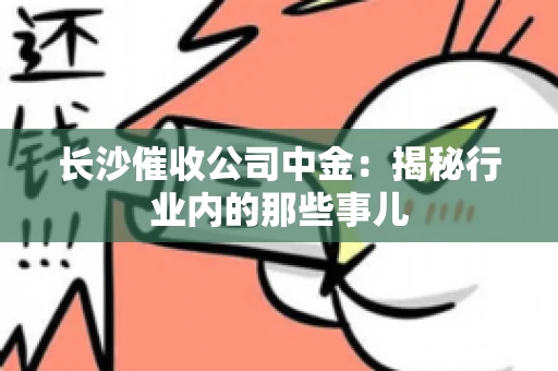长沙催收公司中金：揭秘行业内的那些事儿