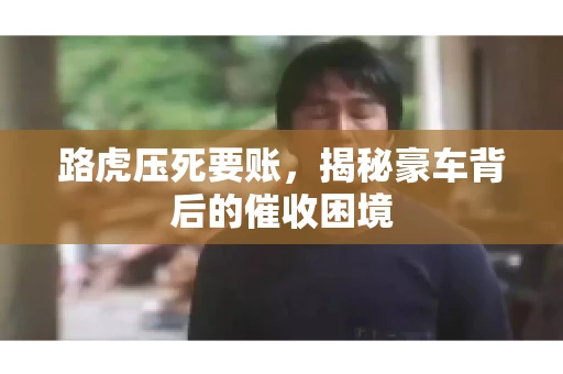 路虎压死要账，揭秘豪车背后的催收困境