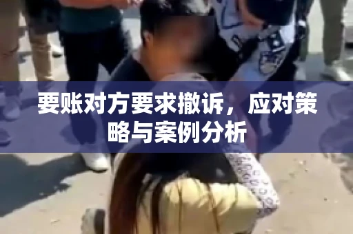 要账对方要求撤诉，应对策略与案例分析
